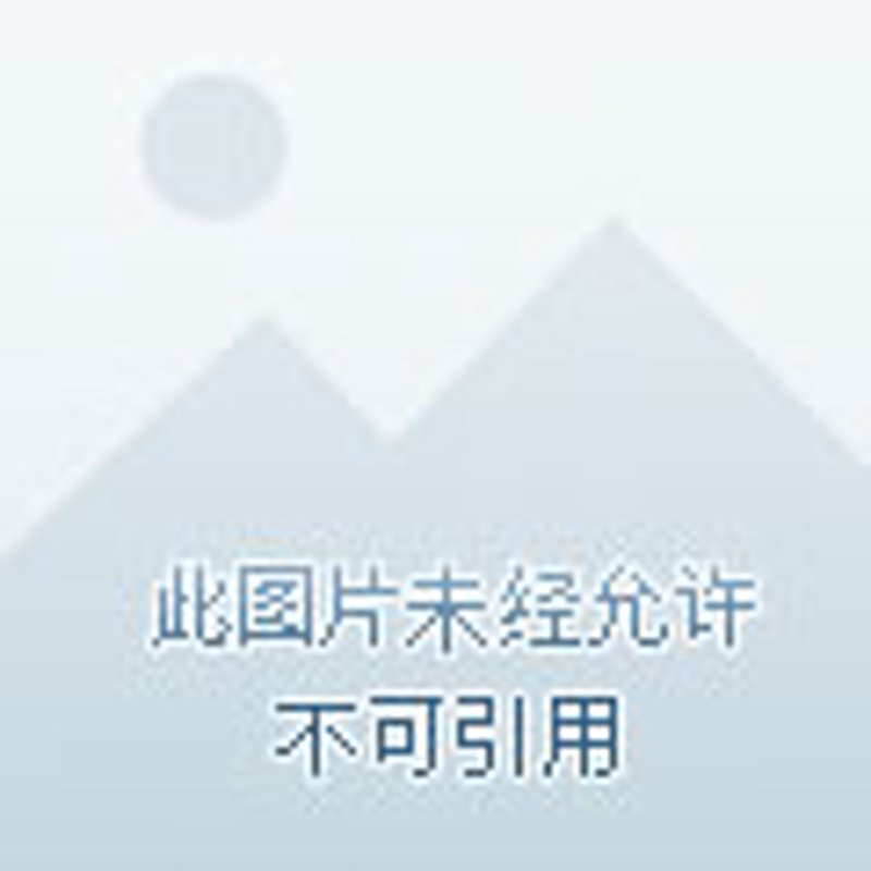贸易代理——如何选择最适合你的合作伙伴？